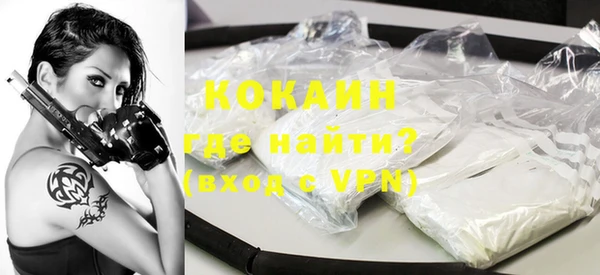 гашик Краснослободск