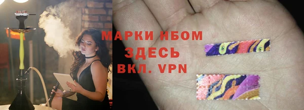 гашик Краснослободск