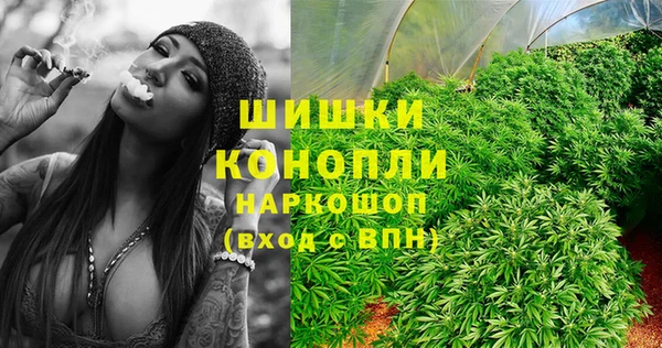 гашик Краснослободск