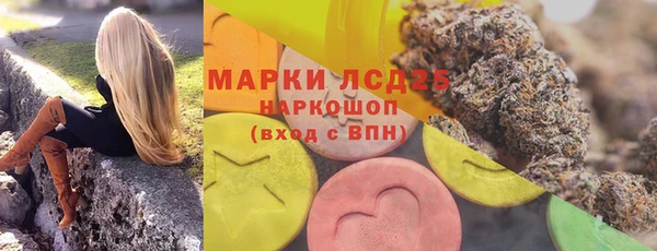 гидра Красноперекопск