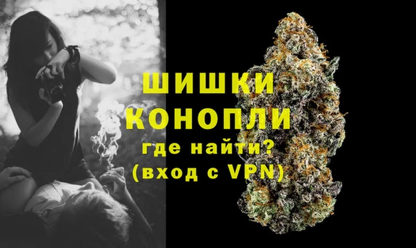 гидра Красноперекопск