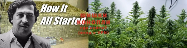 гашик Краснослободск