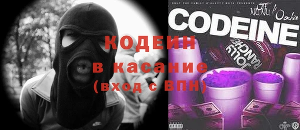 гашик Краснослободск